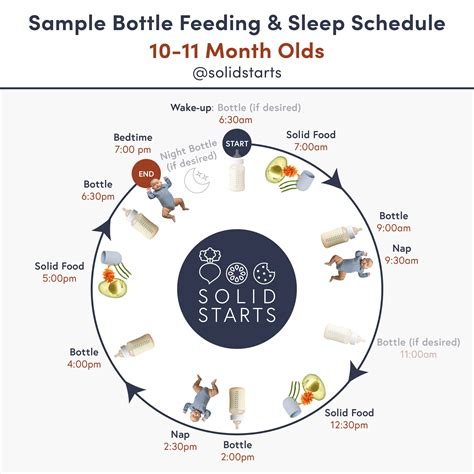 Baby Feeding Schedules by Month - From 6 to 24 Months - Solid Starts