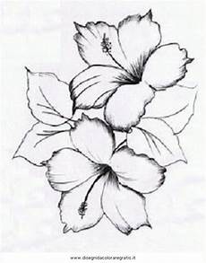 disegni di fiori a matita disegno a matita fiori disegni di fiori a matita disegno a matita fiori