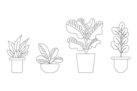 Premium Vector | Set of plants in potted potted of air filtering plant ...