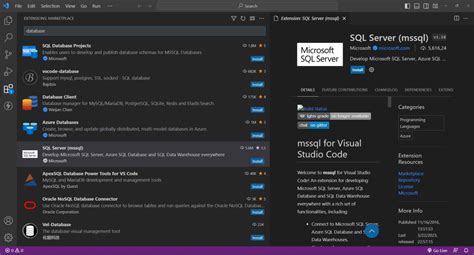 vs Code SQL Database 的图像结果