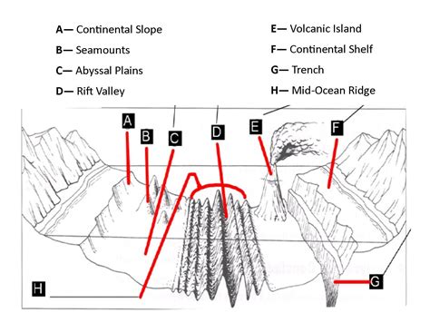 Pdf Of The Ocean Floor Diagram 5th Grade | Earth science lessons, Earth ...