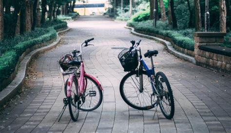 Cycling City 的图像结果