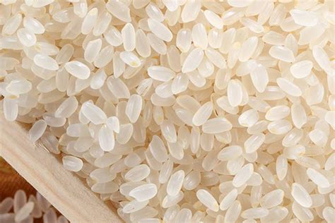 粳米是什么米和大米有哪些区别 - 匠子生活