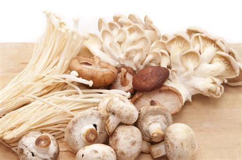 Assorted fresh edible mushrooms - Free Stock Image