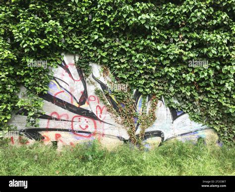 Urban Modern Hair Kalamazoo at Scott Fleming blog