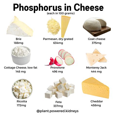 Is Cheese High in Potassium? Protein, Phosphorus, and more!