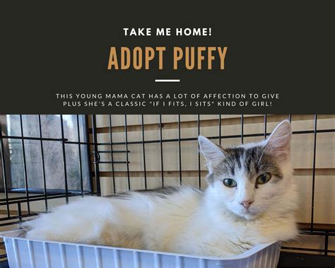 Gwinnett Humane Society