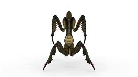 Image result for Alien Race Mantis