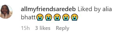 Alia Bhatt likes Hailey Beibers nepo baby photo, fans are furious