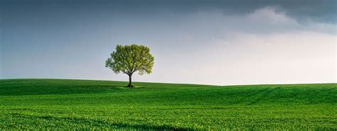 fb体育中国官方网站