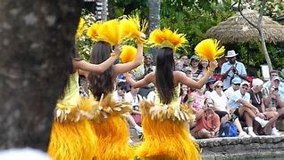 Image result for Polynesian