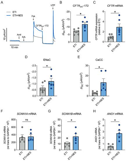 The CFTR Amplifier Nesolicaftor Rescues TGF-β1 Inhibition of Modulator ...