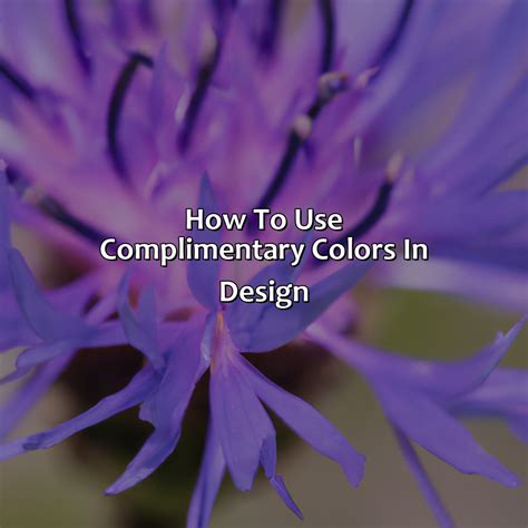 What Color Compliments Purple - colorscombo.com