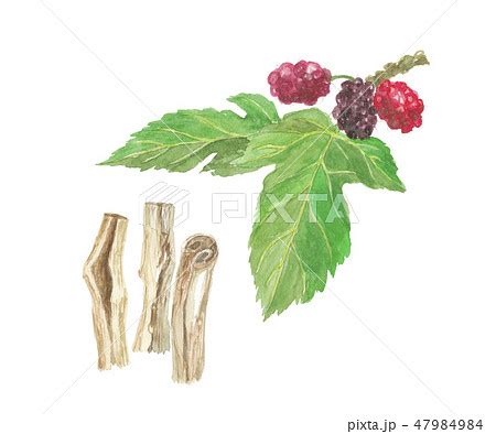 Image result for Un Sample Script