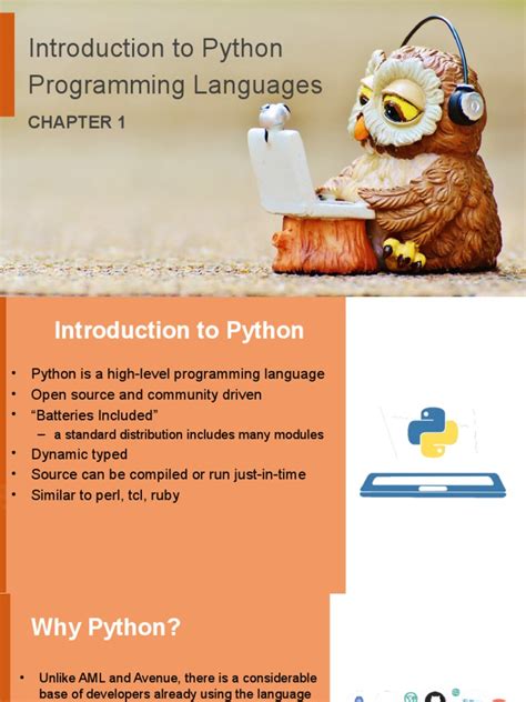 Python 101 Introduction 的图像结果