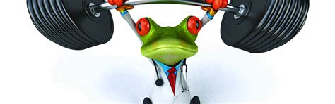 Download wallpaper frog, frog, funny, doctor, section rendering in ...