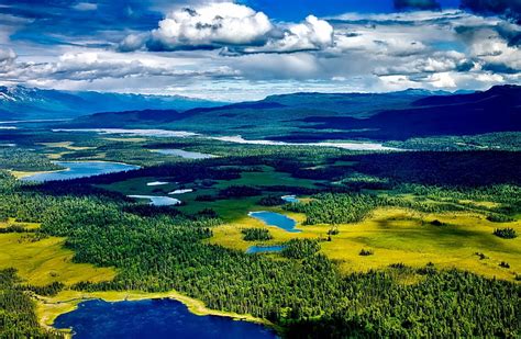 アラスカ 州 シャチ に対する画像結果