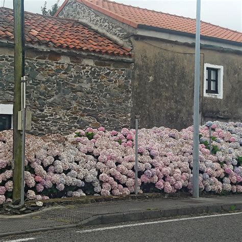 La Quinta De Selgas (Cudillero) - 2022 What to Know Before You Go (with ...