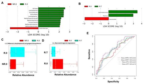 Composition of the Gut Microbiota Associated with the Response to ...