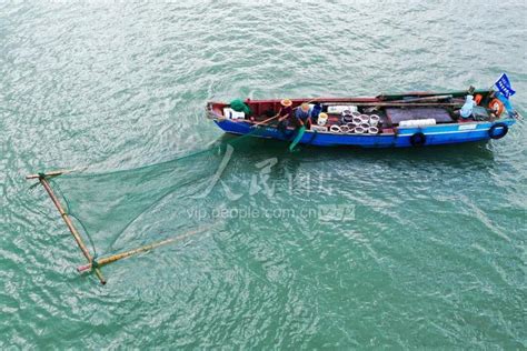 30年等一回 舟山渔民东海捕获比人还高的蓝鳍金枪鱼-浙江新闻-浙江在线