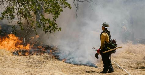 Wildland-urban fires trigger biological changes in firefighters, may explain increased cancer ...