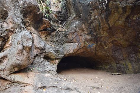 Gupteswar forest declared as fourth bio-diversity heritage site in Odisha