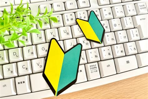 Image result for First Lesson for Computer Programming Beginers