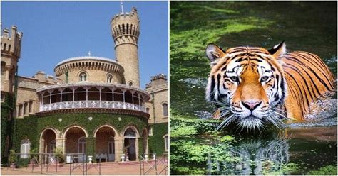 Top Kids Places In Bangalore | WhatsHot Bangalore