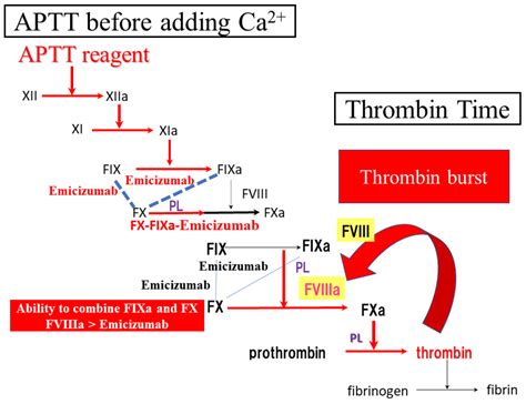 JCM | Free Full-Text | A Clot Waveform Analysis of Thrombin Time Using a Small Amount of ...