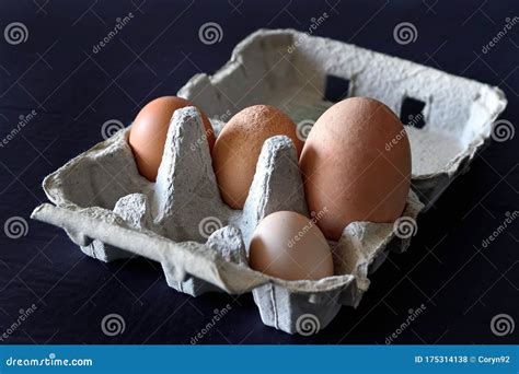 Four Diferent Chicken Eggs in Paper Box on Dark Background. Four Egg ...