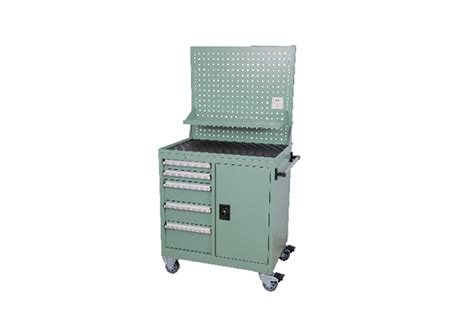 DATA OUTPUT AND SOFTWARE - INSIZE INDIA