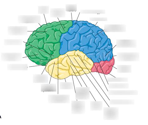Cortex 的图像结果