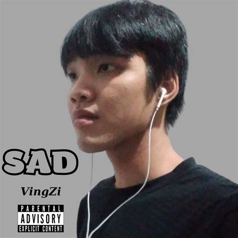 Image result for Sad VM