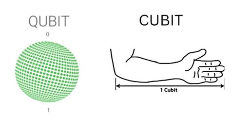 Image result for Measuring the Length Using Cubit
