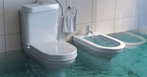 Image result for Sloan Flushmate Exploding