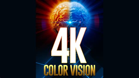 Image result for Color Vision Box