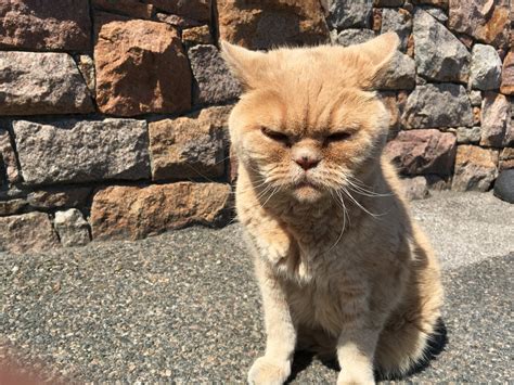 You are what you eat.. | Page 2 | DIYnot Forums