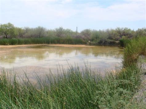 Ajo Photos - Featured Images of Ajo, AZ - Tripadvisor