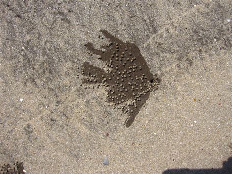 D'source Sand Cutout | Types of Sand Animation | D'Source Digital ...