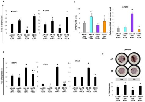 Dietary ω-3 Fatty Acid Supplementation Improves Murine Sickle Cell Bone ...