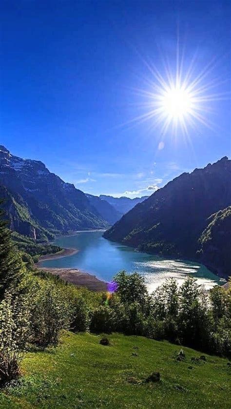 Belle Nature 的图像结果