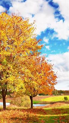 Fall Iphone Wallpaper Hd by Free Fall Iphone Hd Wallpapers Pixelstalk Net Fall Iphone Wallpaper Hd