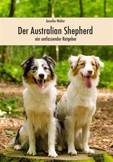 Der Australian Shepherd (German Edition) eBook : Walter, Jennifer ...