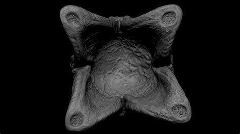 Image result for Alien Covenant Easter Egg