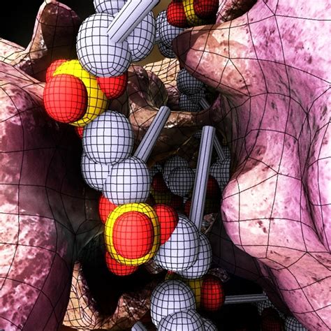 RNA Model 的图像结果