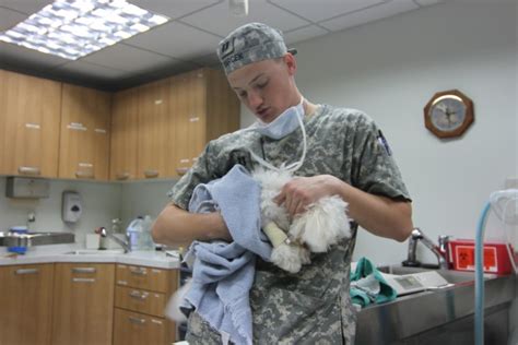 106th Medical Detachment Provides Care for Furry Friends | Article ...