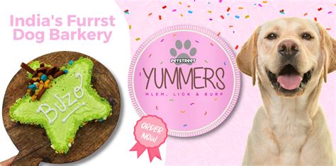 Pet Supplies Online | Pet Spa, Veterinary Clinics, Dog Cakes in Delhi ...