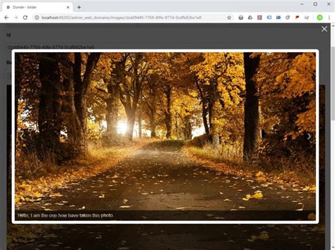 Light Box JavaScript/HTML5 的图像结果