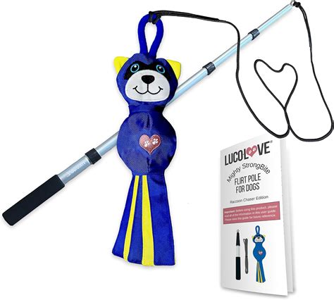 Pet Supplies : LUCOLOVE Flirt Pole for Dogs Heavy Duty - Multi-Sensory ...