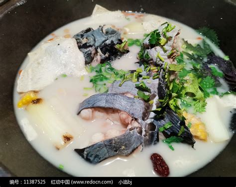 石锅鱼,石锅鱼的家常做法 - 美食杰石锅鱼做法大全